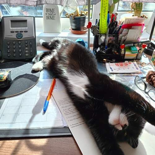 Photo #10690151