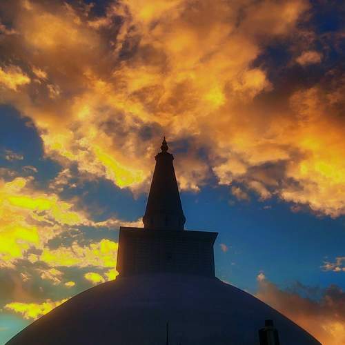 Photo #10690230