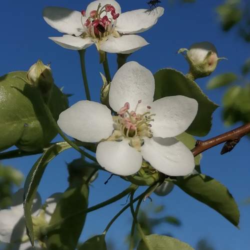 Photo #10690607