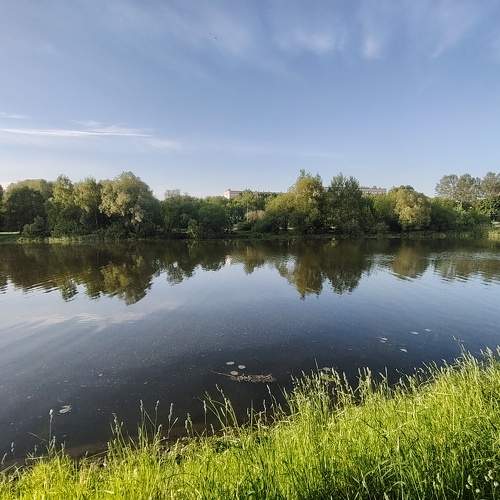 Photo #10690608
