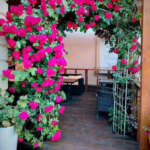 Photo #10690689
