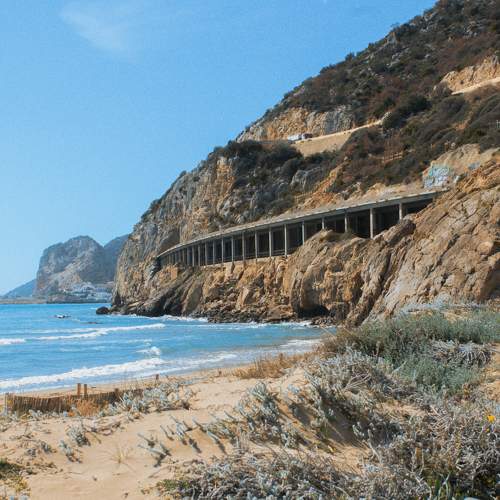 Photo #10690761