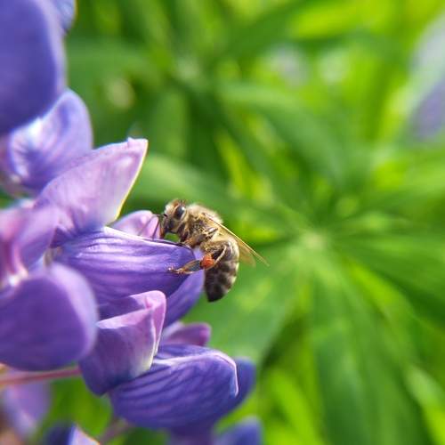 Photo #10690844