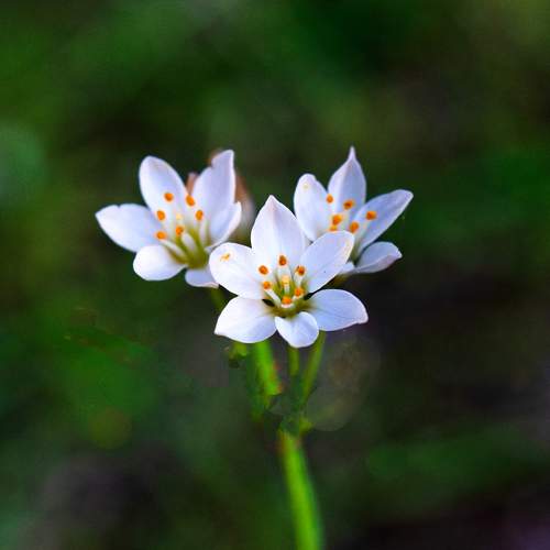 Photo #10690859