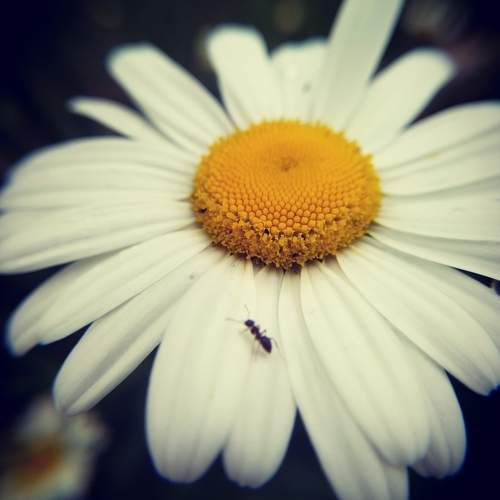 Photo #10690867