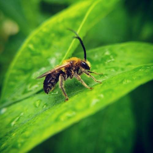 Photo #10690869