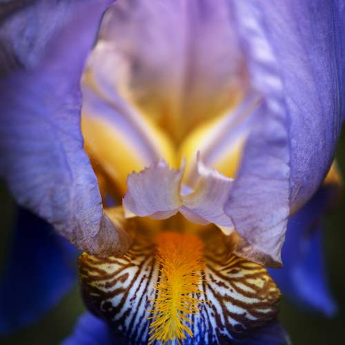 Photo #10690883