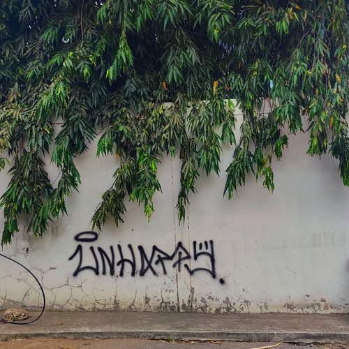 Photo #10690956
