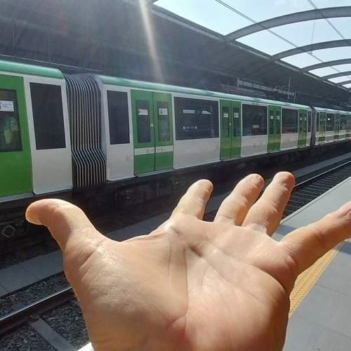 El transporte en tus manos