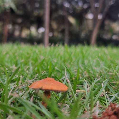 Photo #10691400