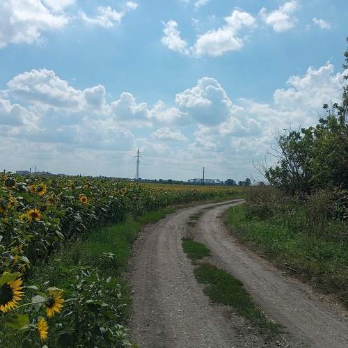 Photo #10691728