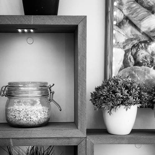 Photo #10691858