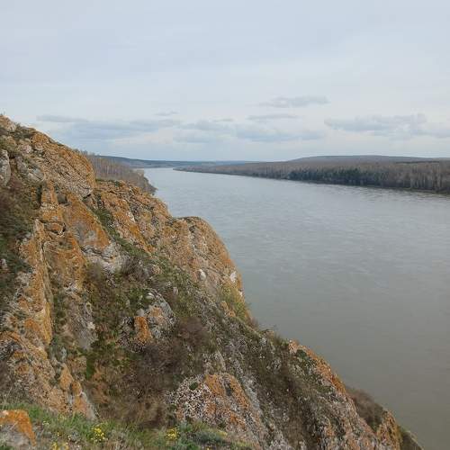 Photo #10692258