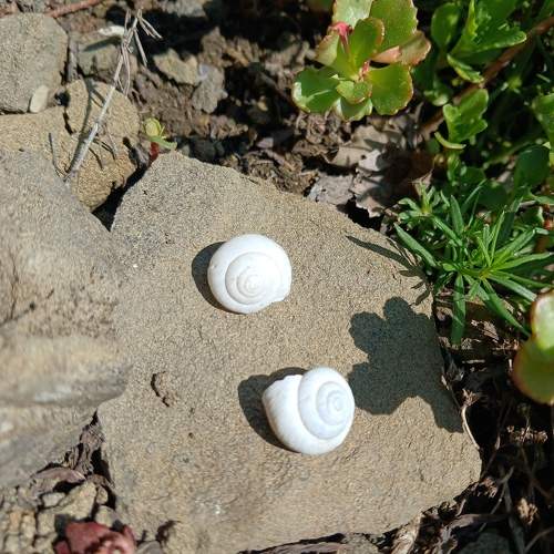Photo #10692259