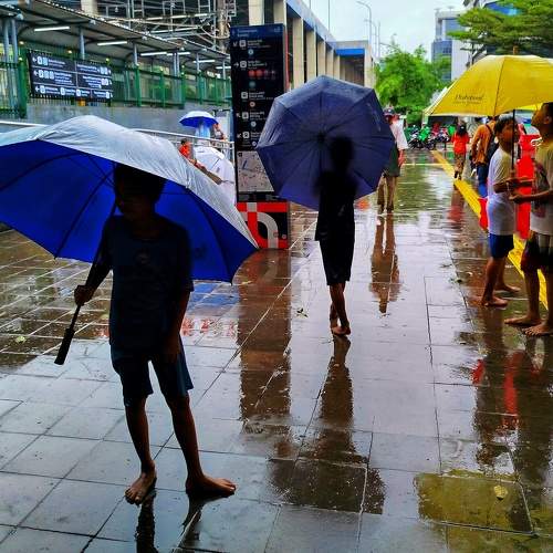Photo #10692444