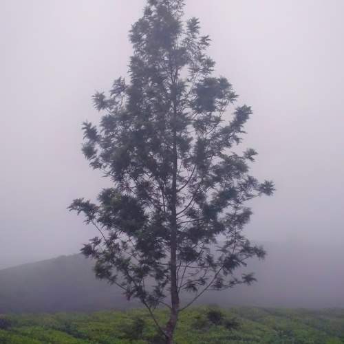 Photo #10692466