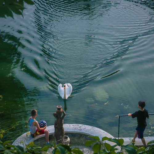 Photo #10692728