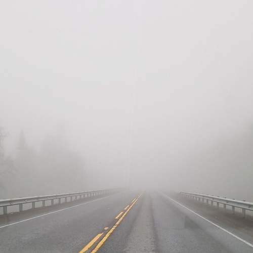 Photo #10693038