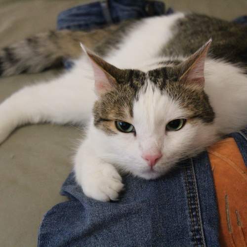 Photo #10693174