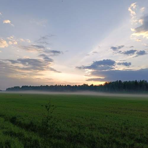 Photo #10693466