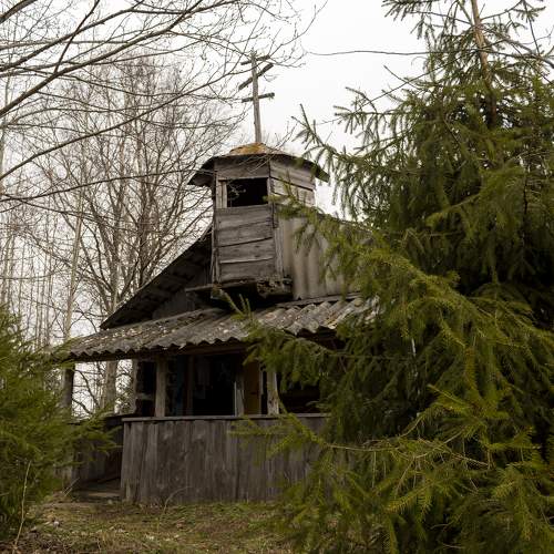 Photo #10693523