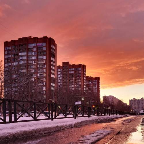 Photo #10693550