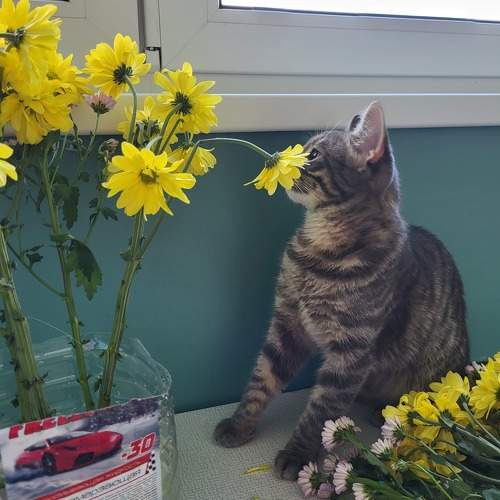 Photo #10693560