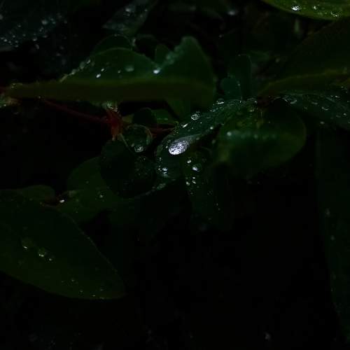 Photo #10693667
