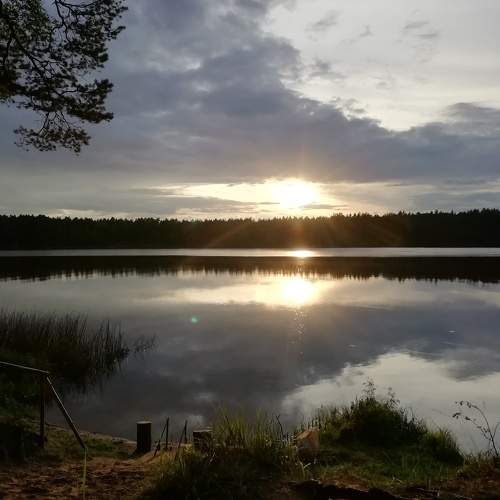 Photo #10693669