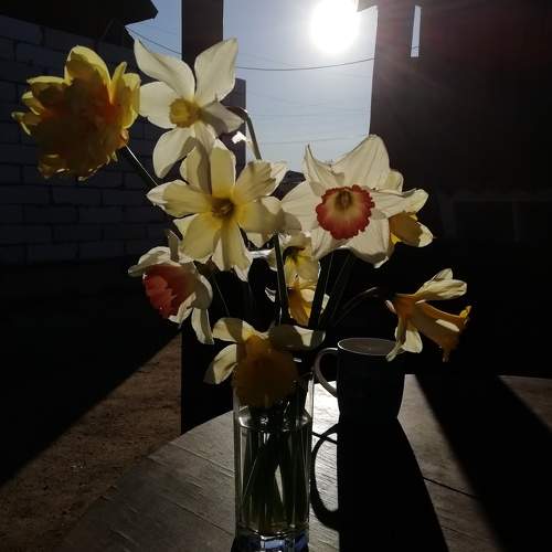 Photo #10693672
