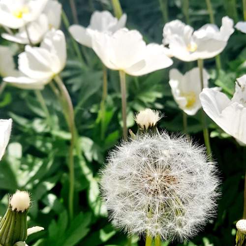 Photo #10694376