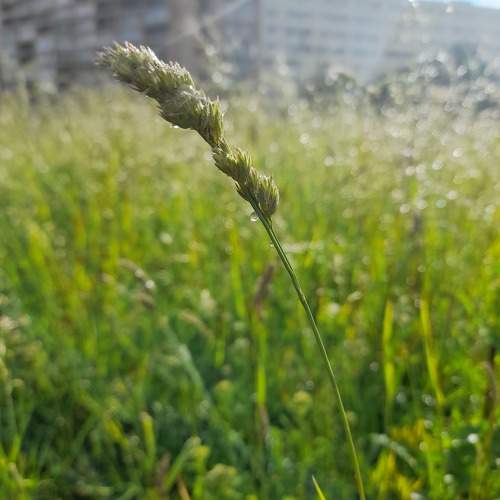 Photo #10694387