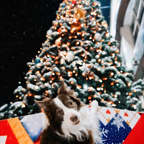 Photo #10694963