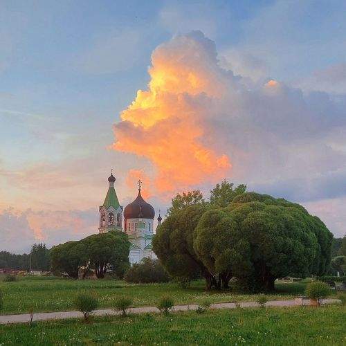 Photo #10694981