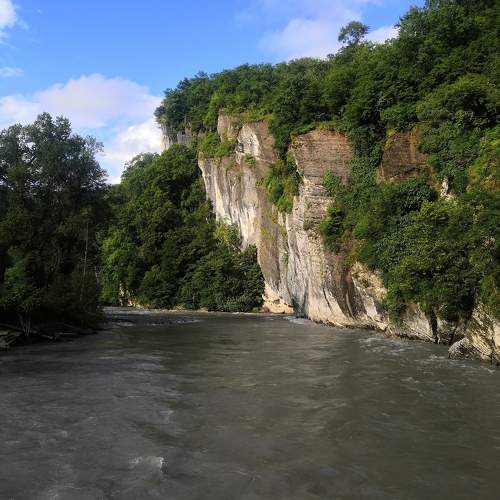 Photo #10695190