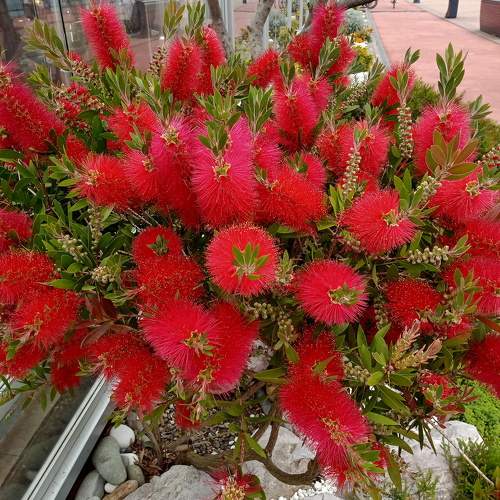 Photo #10695306