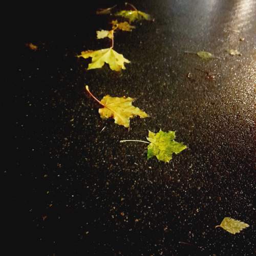 Autumn Waltz.