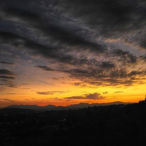 Photo #10695584