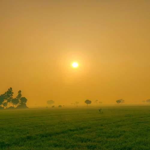 Sunrise