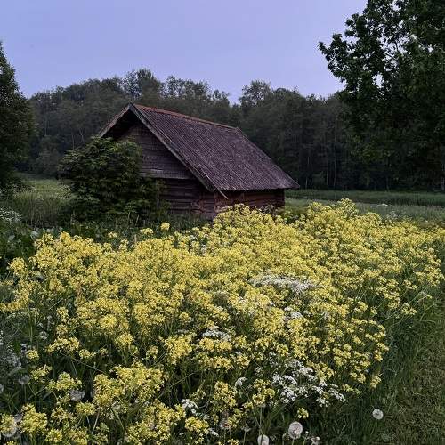 Photo #10695791