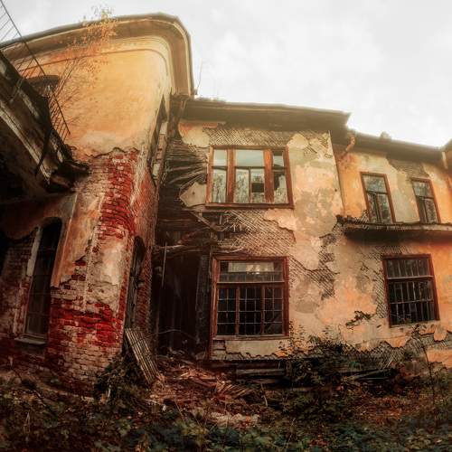 Photo #10695974
