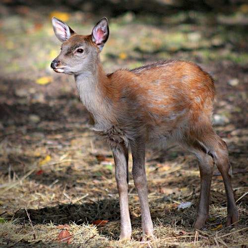 Photo #10696004
