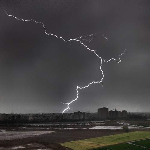 Photo #10696430