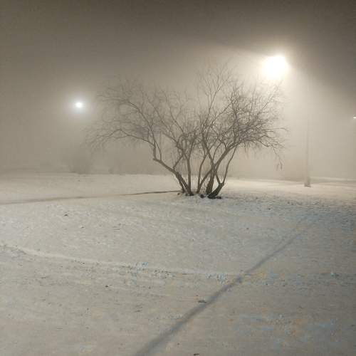 Photo #10696460