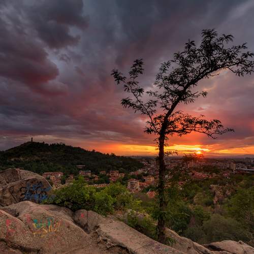 Photo #10696636