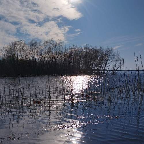 Photo #10696804