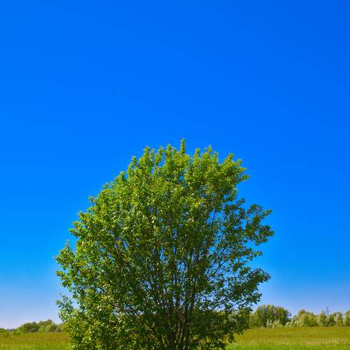 Photo #10697274