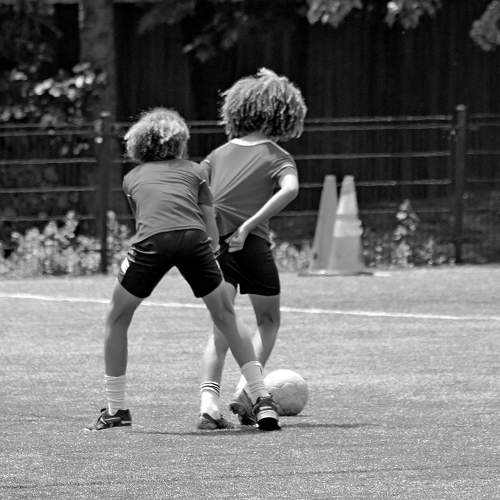 Photo #10698107