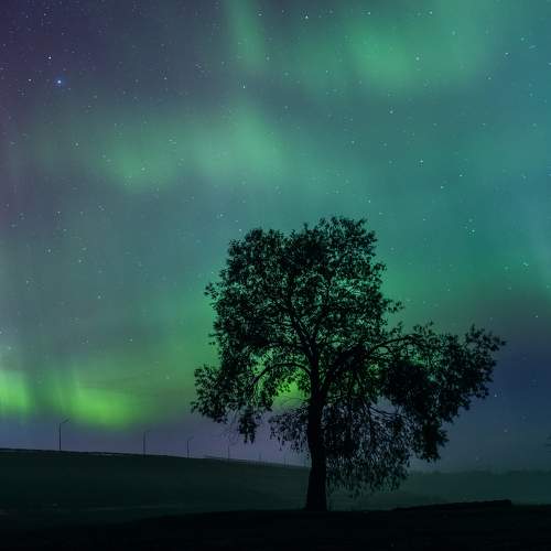 Photo #10698365