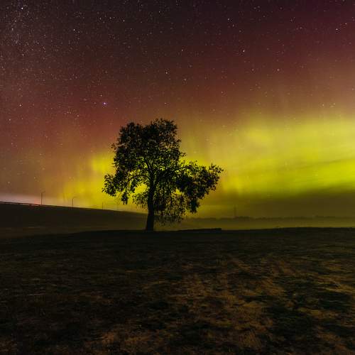 Photo #10698371